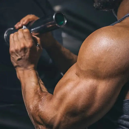 Arm and Forearm Workouts for Grip Strength and Wrist Stability - Fortira Fitness