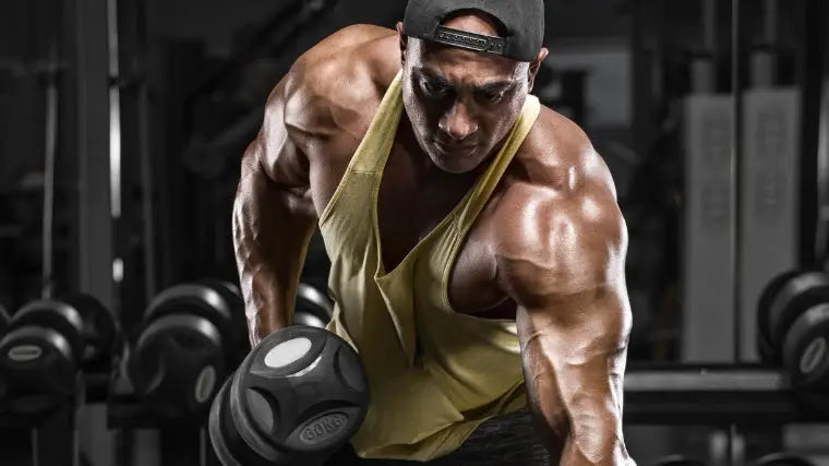 How to Increase Arm and Forearm Strength for Boxing and Combat Sports - Fortira Fitness