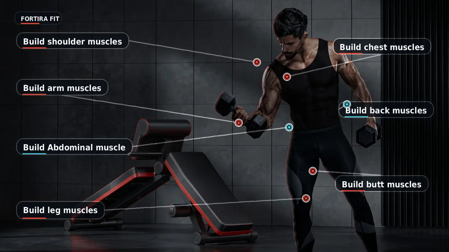 Foldable Dumbbell Stool & Adjustable Bench Press My Store