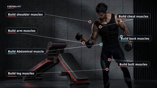 Foldable Dumbbell Stool & Adjustable Bench Press My Store